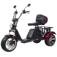 Электроскутер SkyBoard Trike BR80